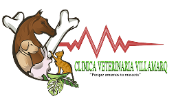Clinica Veterinaria Villamarq